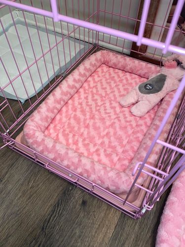 Customer photo review of Comfortable Bolster Pet Bed for Dogs & Cats | Ultra soft Synthetic fur