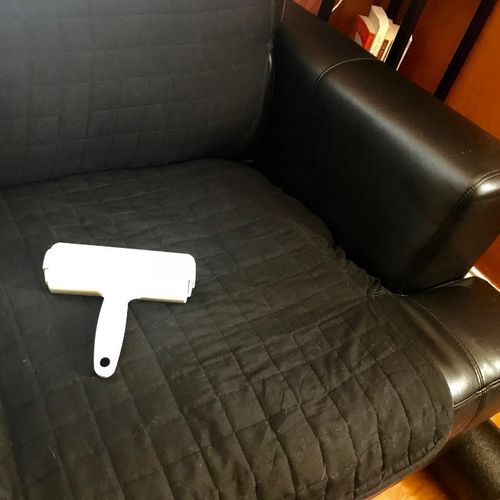 Customer photo review of Pet Hair Remover | Portable, Multi-Surface Lint Roller & Animal Fur Removal Tool