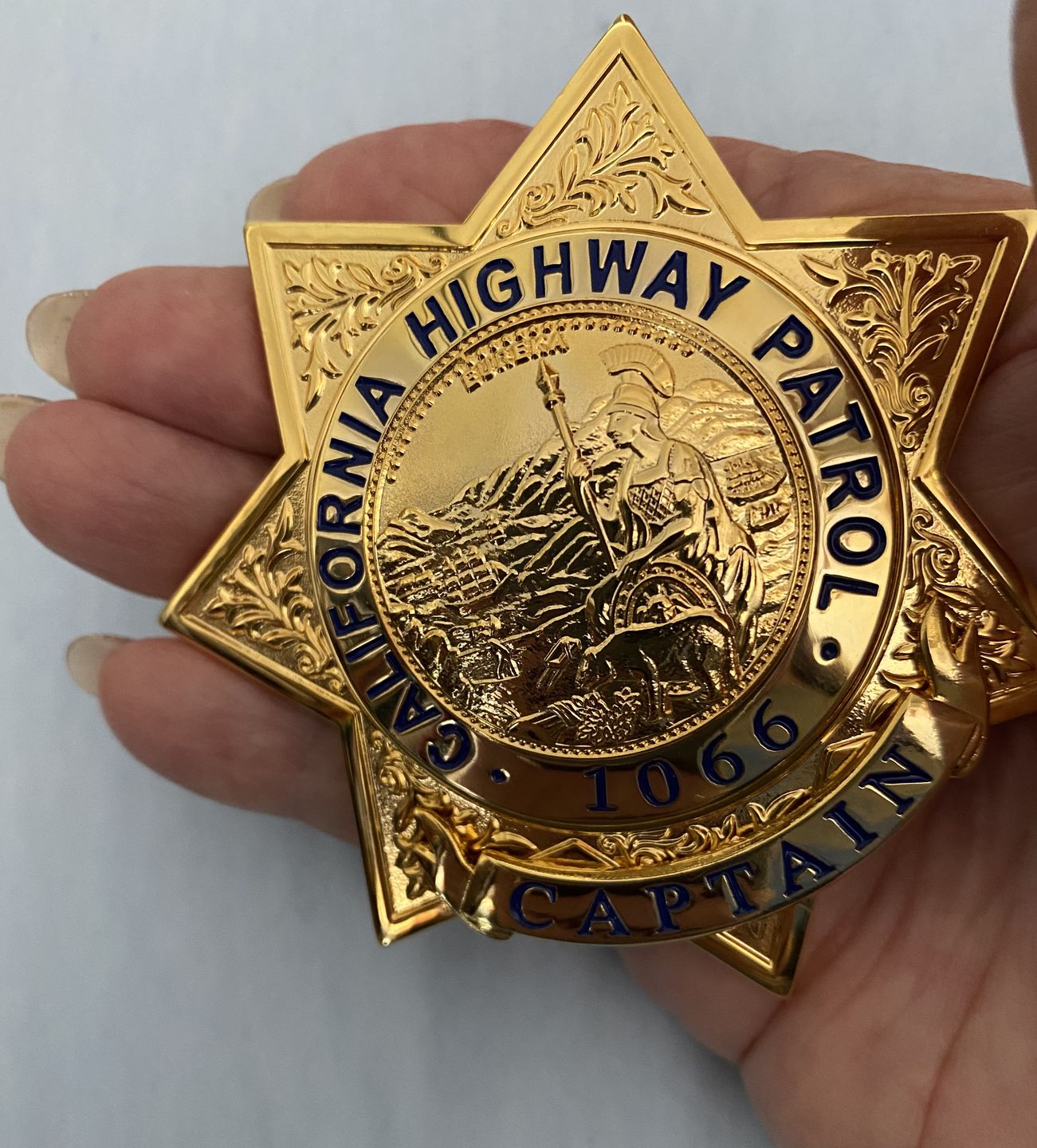 Customer photo review of CHP California Highway Patrol Police Badge Motorcycle Wings Mini Brooch Lapel Pin