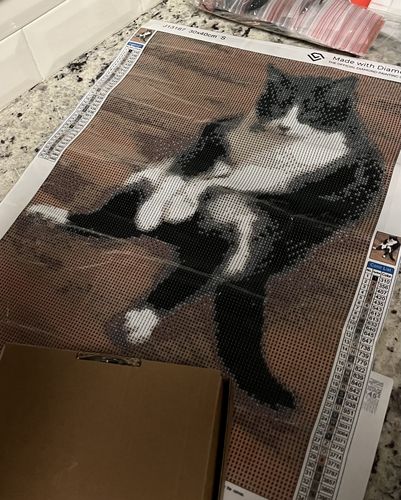 Customer photo review of Your Advanced Custom Diamond Painting Kit - Premium Quality