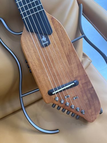 Customer photo review of Donner HUSH-I Silent Guitar Mahogany
