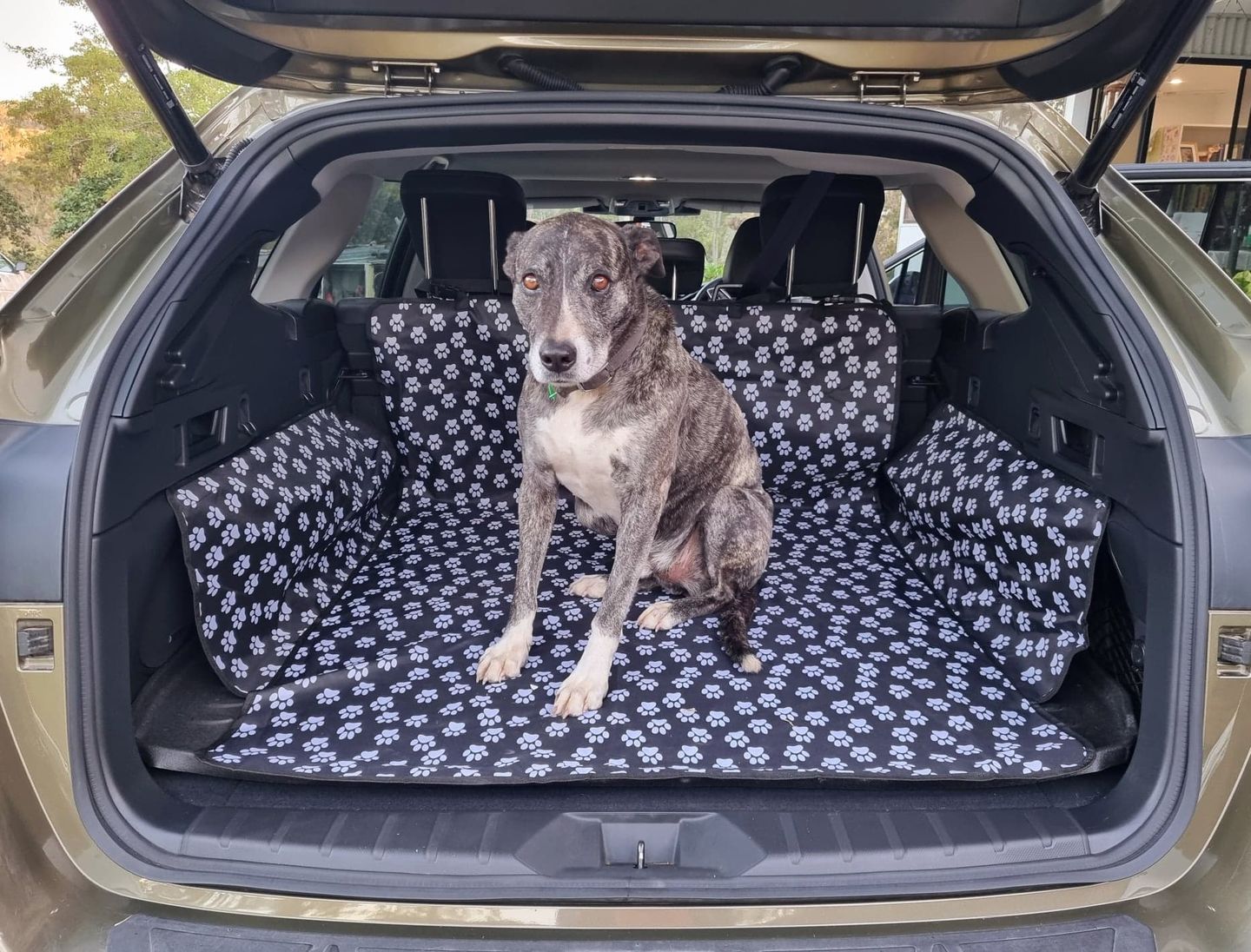 Customer photo review of Paw Print Car Boot Cover