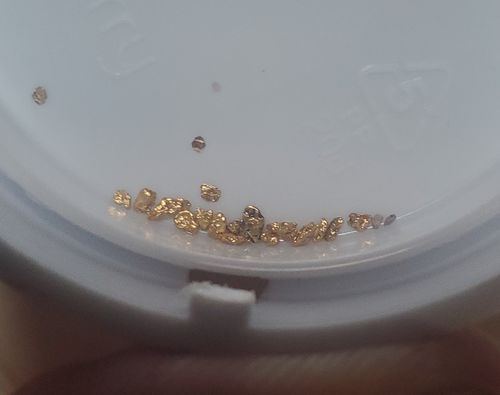 Customer photo review of 5-XL 'NUGGET RESERVE ELITE™' 5x the Nuggets Unsearched