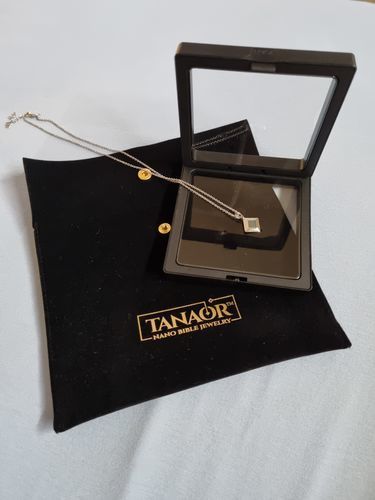 Customer photo review of Classic TANAOR Necklace