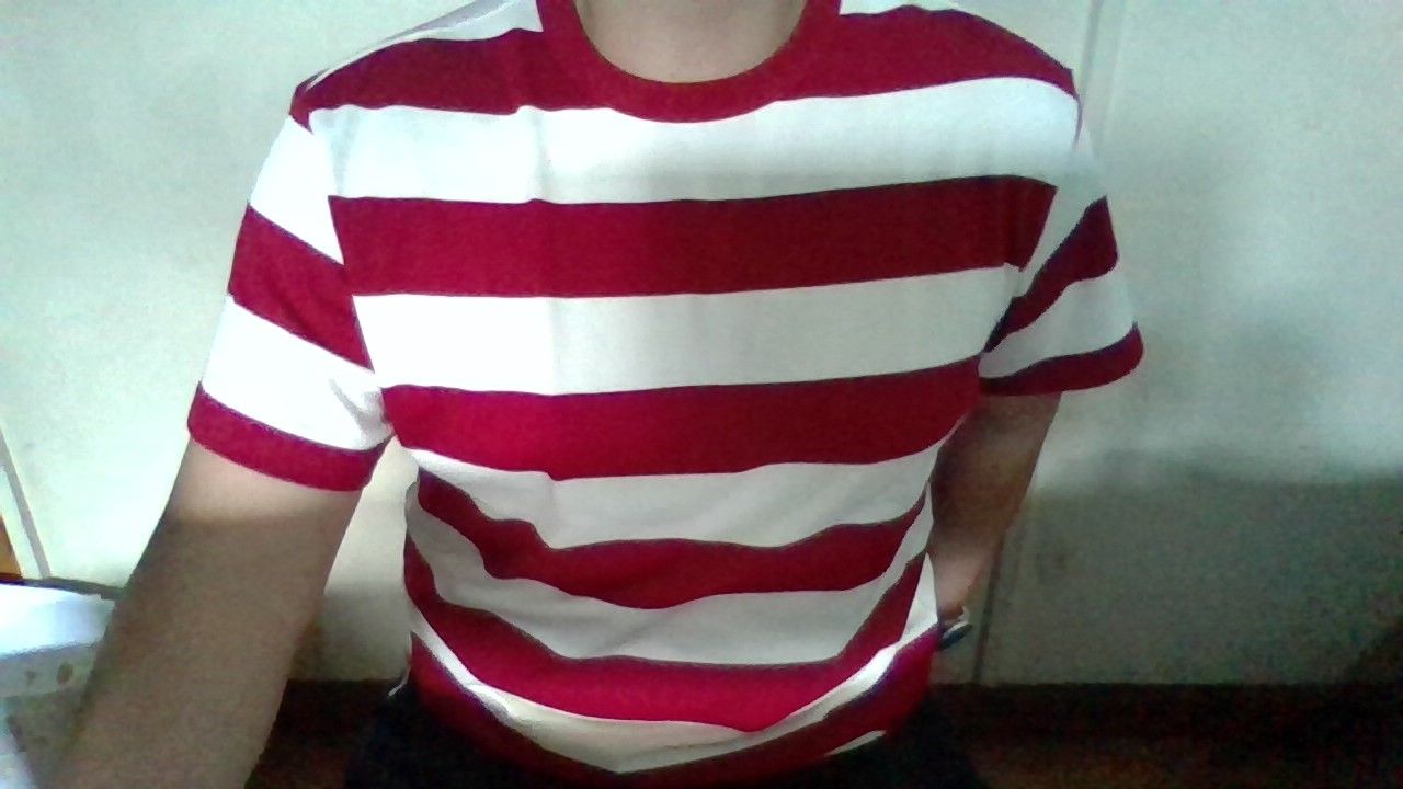 Customer photo review of Heavyweight Cotton Wide Striped T-Shirt - Red/Apricot