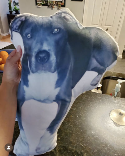 Customer photo review of Create A Custom Dog Pillow