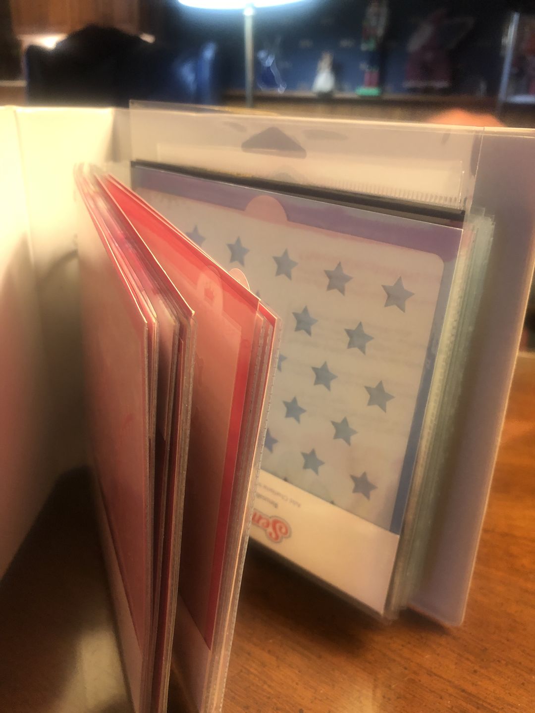 Customer photo review of Memory Keepers Page Protectors