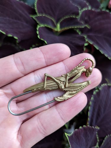 Customer photo review of Brass Praying Mantis Pin