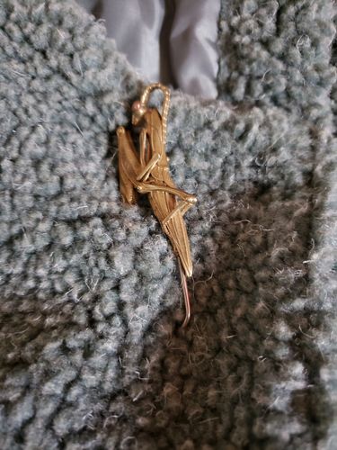 Customer photo review of Brass Scorpion Pendant