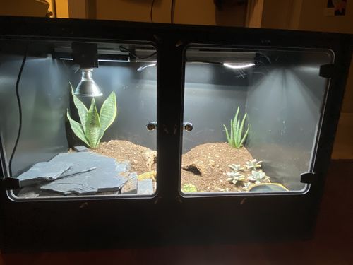 Customer photo review of XA3-BIO24 (36Lx24Hx24D) - STACKABLE