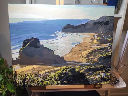 Customer photo review of Piha Beach