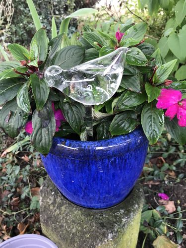 Customer photo review of Mon petit oiseau - Le Jardin de Mamie®