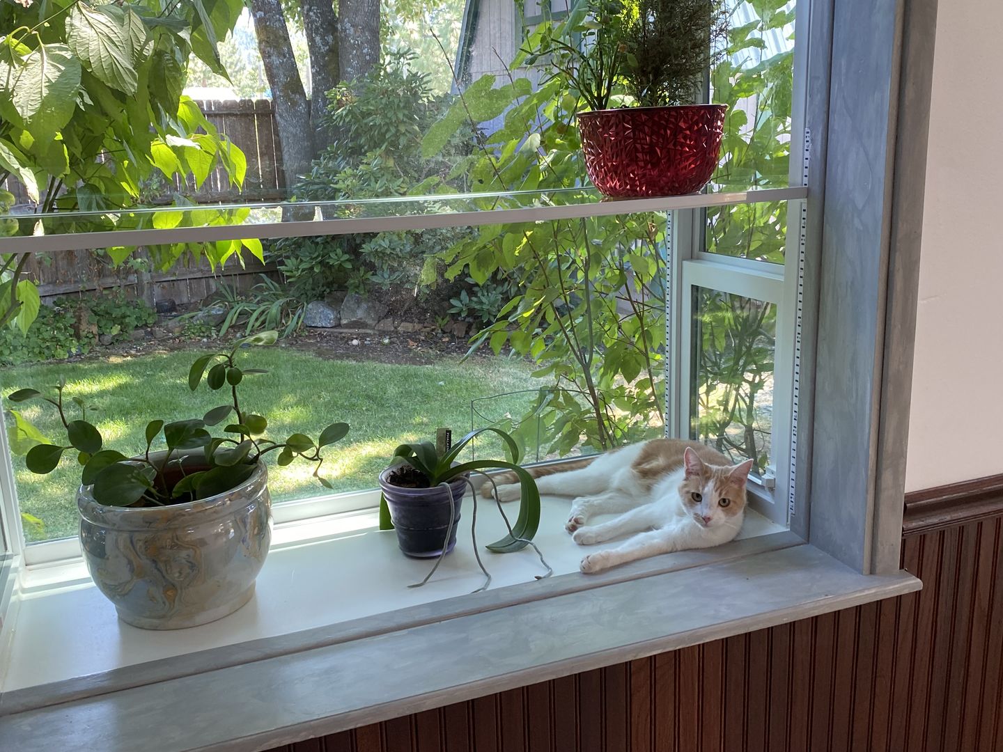Customer photo review of Antiquing Glaze