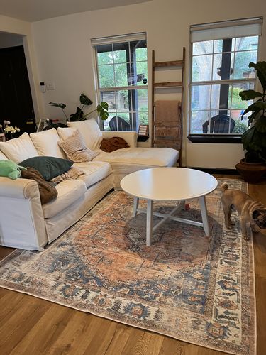 Customer photo review of Distressed Vintage Pissarro Terracotta Sky