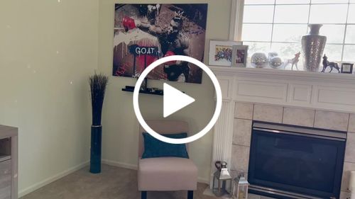 Customer video review of Iron Mike