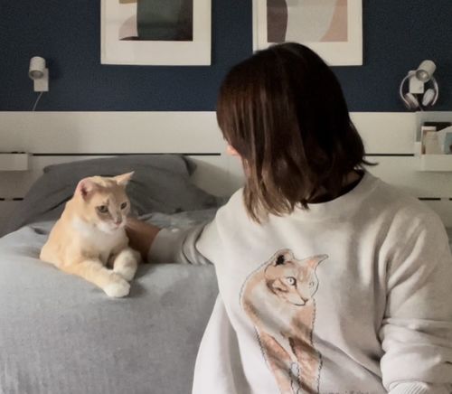 Customer photo review of Full-Body Pet Custom Sweater