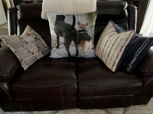 Customer photo review of Create A Custom Anything Pillow