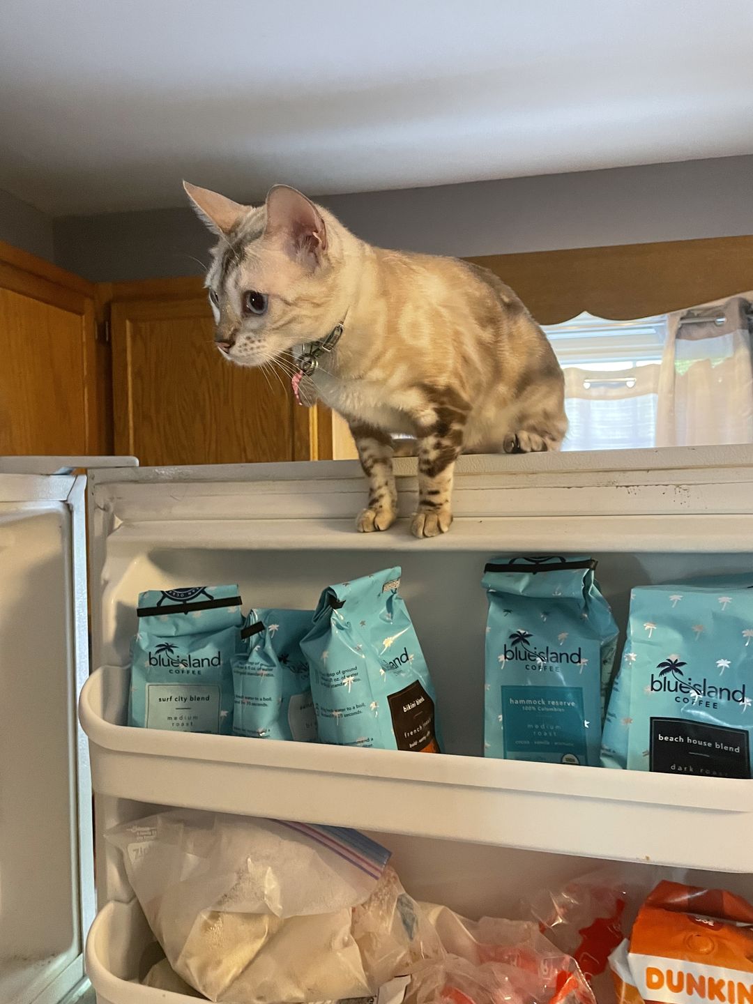 Customer photo review of Sunrise Blend (Light/Med Roast)