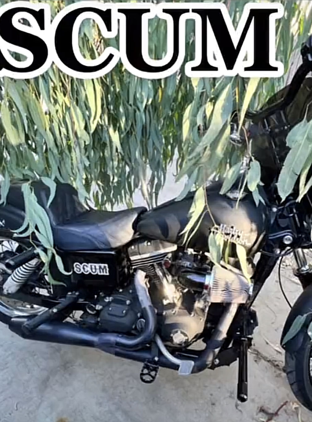 Customer photo review of LARGE SCUM STICKER