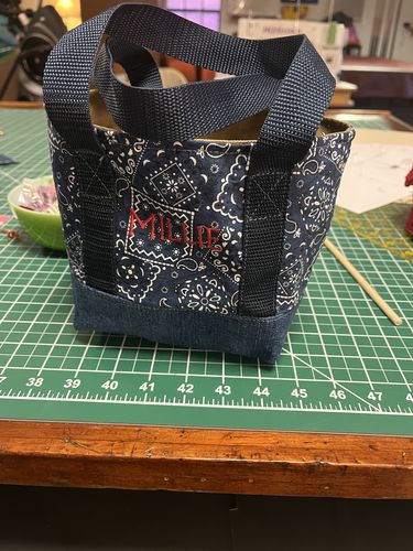Customer photo review of Petite Set Tote Pattern