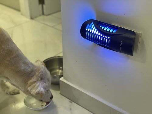 Customer photo review of Shieldeck® WallTrap - Plug-In Indoor Flying Insects Smart UV Trap