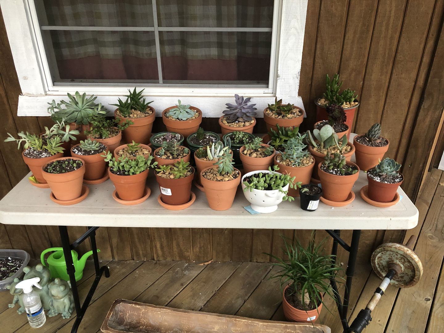 Customer photo review of Worm Castings