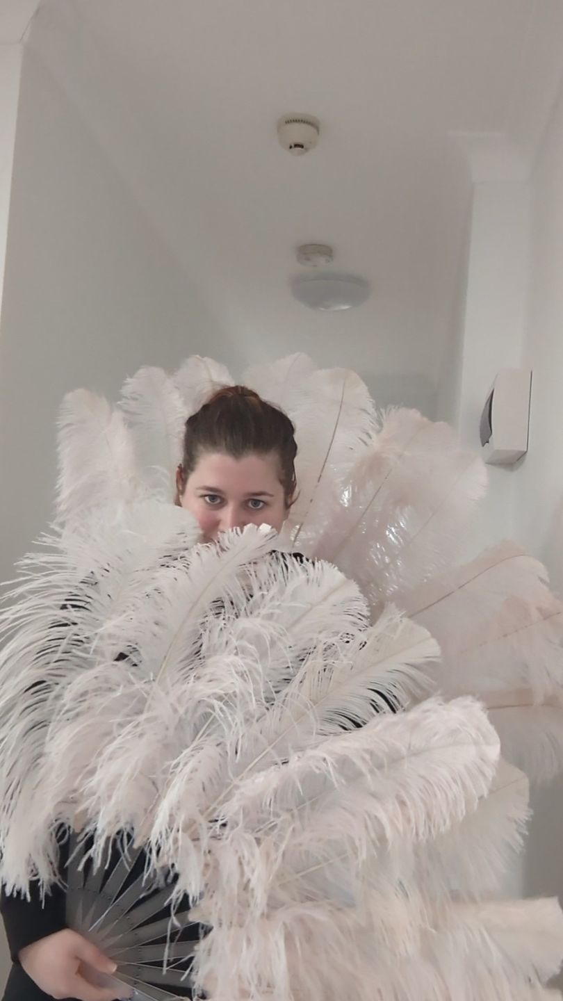 Customer photo review of A pair blush Single layer Ostrich Feather fan 24"x 41" with leather travel Bag