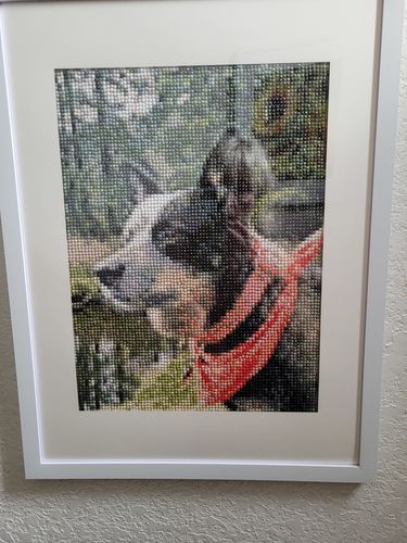 Customer photo review of Custom Diamond Painting Kits for Adults DIY 5D - Photo Diamond Art Shipped from USA
