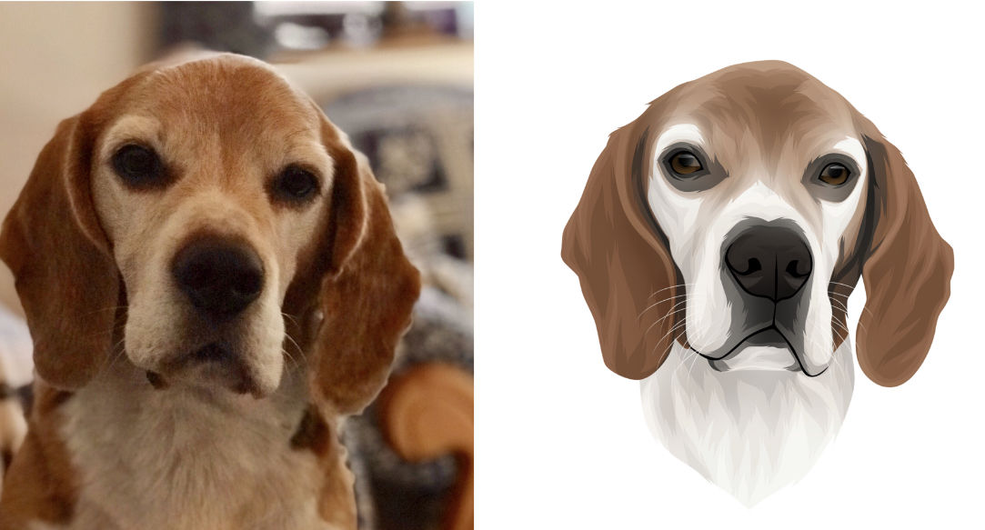 Customer photo review of Portrait deines Tieres