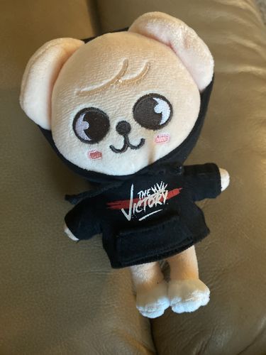 Customer photo review of Stray Kids x SKZOO "Victory" Pop Up MD (SKZ x SKZOO Character Options)