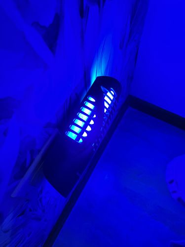 Customer photo review of Shieldeck® WallTrap - Plug-In Indoor Flying Insects Smart UV Trap