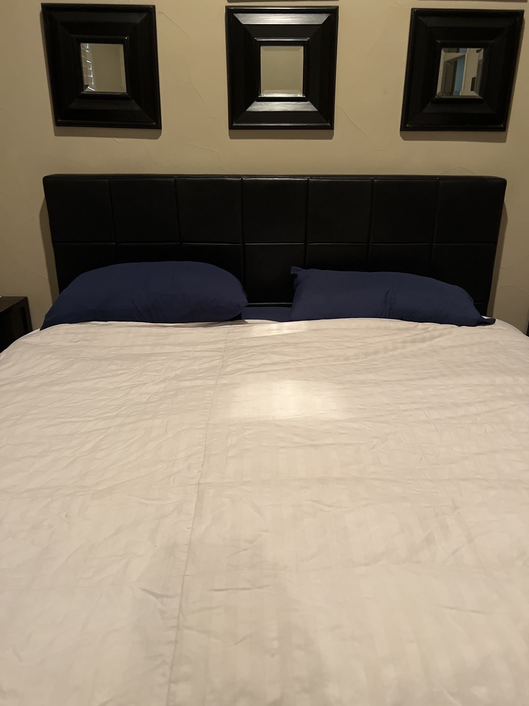 Customer photo review of Goose Down Pillow
