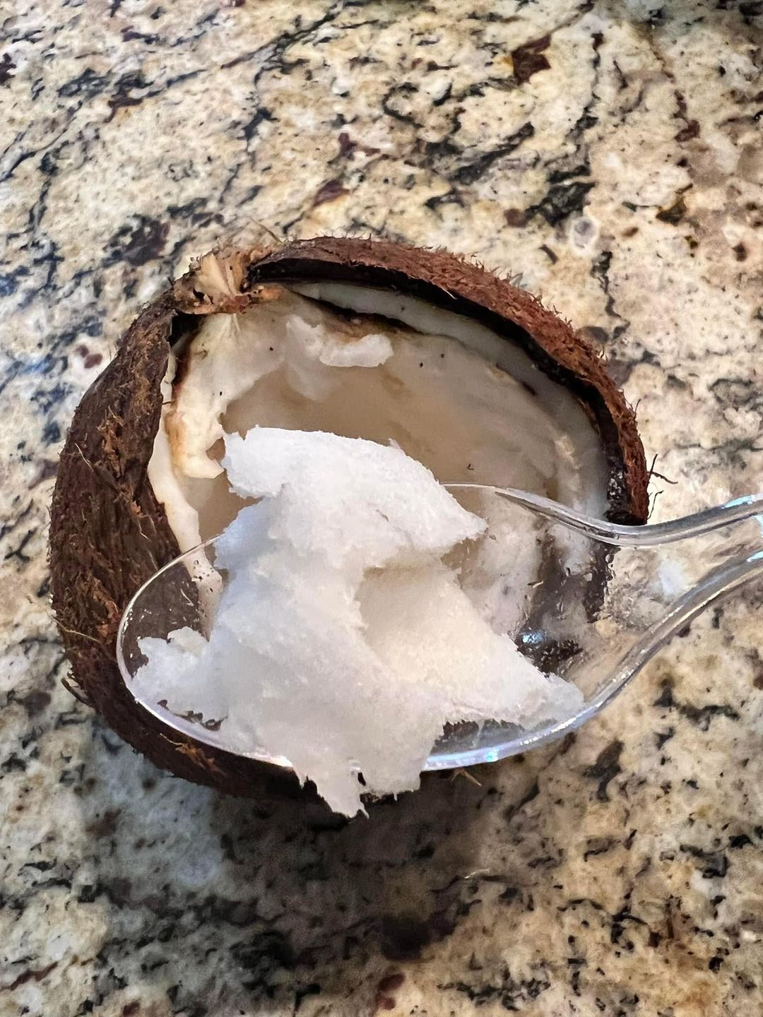Customer photo review of Sprouted Coconut Box