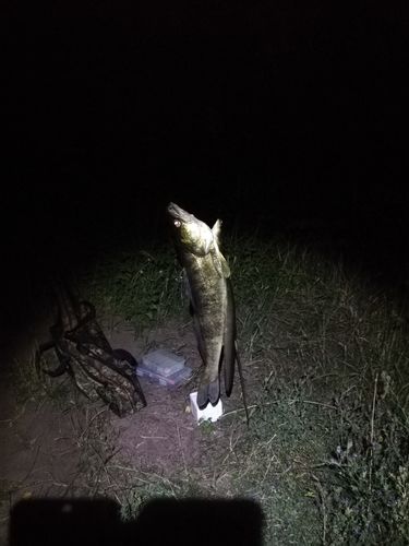 Customer photo review of USB Speed Charger inkl. 2x Akkus