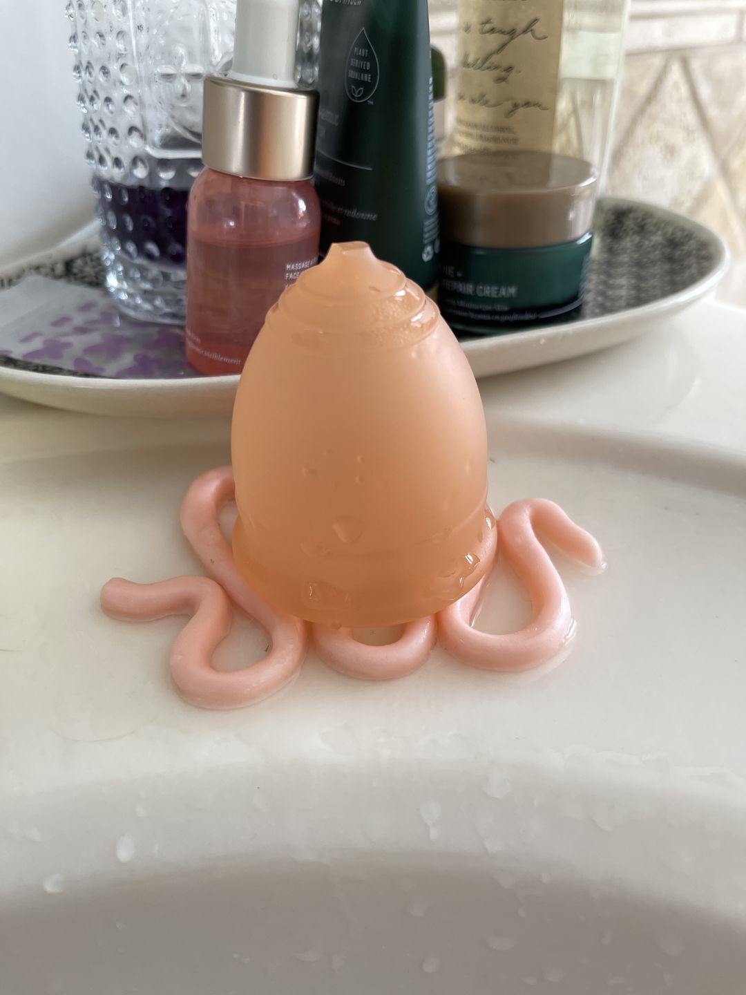 Customer photo review of Spot