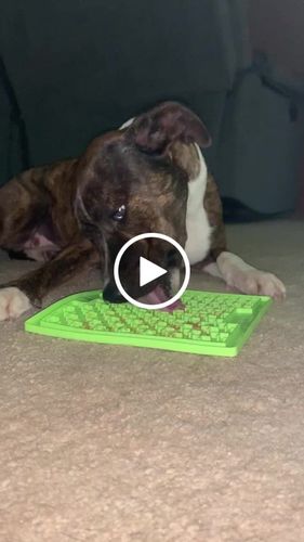 Customer video review of Peanut Butter for Dogs (Barking Butter)