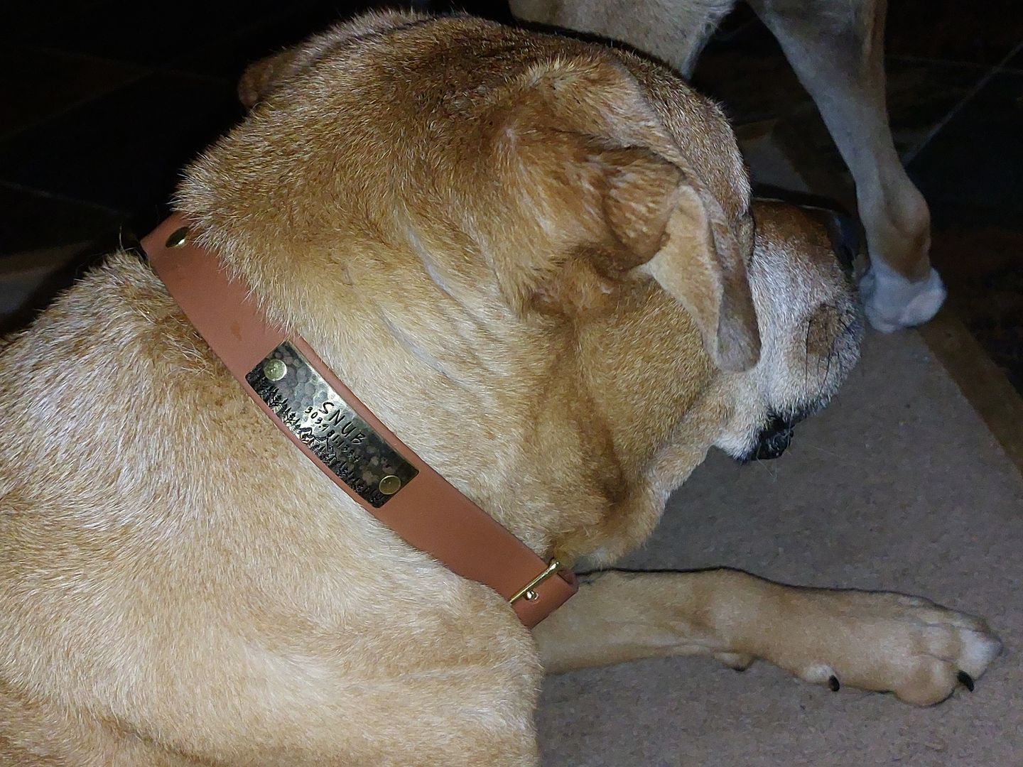 Customer photo review of Rivet-On Tag