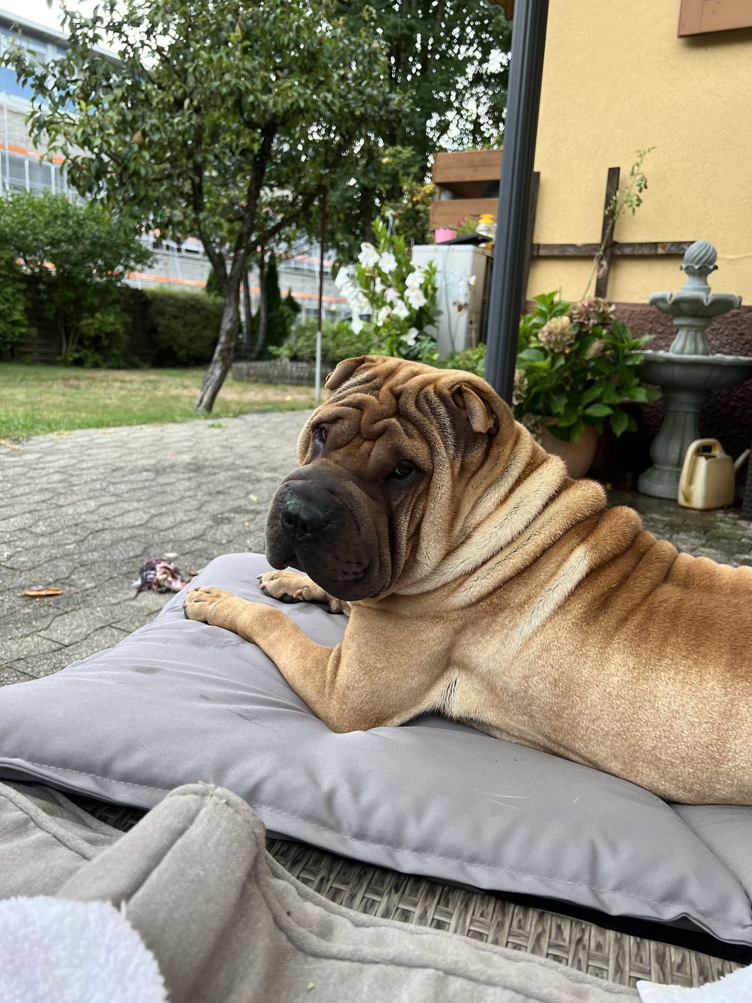 Customer photo review of Lamm gemischt 500g ab pro Wurst nur 9.70.-  "Tiefgekühlt"