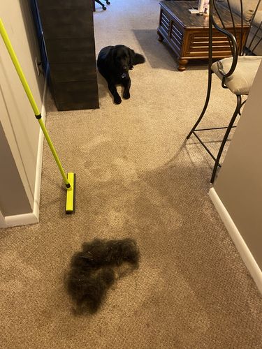 Customer photo review of Pet Hair Removal Broom