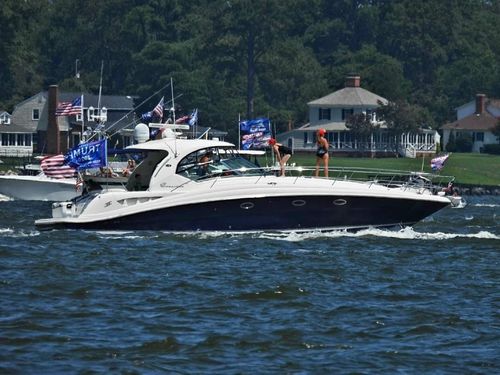 Customer photo review of Custom Digital Boat Artwork