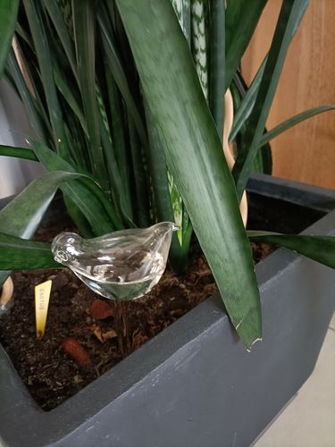 Customer photo review of Mon petit oiseau - Le Jardin de Mamie®