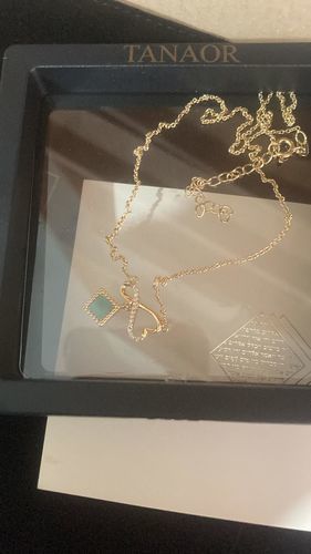 Customer photo review of Eternal Love Necklace