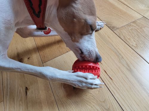 Customer photo review of Molar Balls