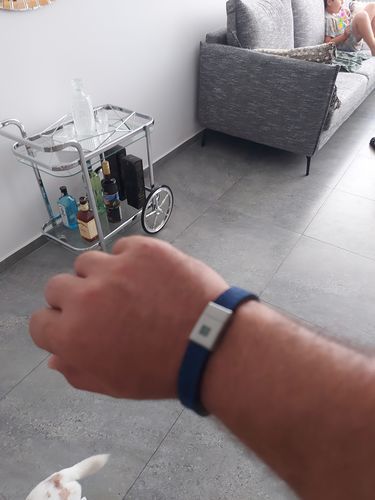 Customer photo review of Stability Bracelet
