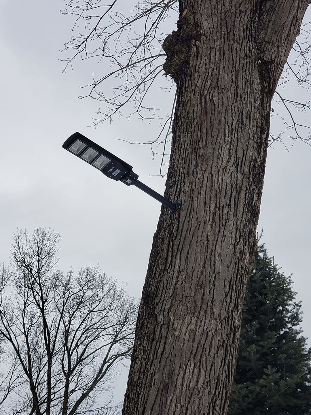 Customer photo review of 60W 90W 120W Solar Street Light -ES04 Series