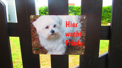 Customer photo review of Hunde-Türschild mit Foto & Wunschtext