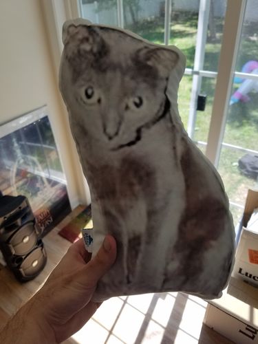 Customer photo review of Create A Custom Cat Pillow