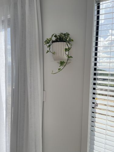 Customer photo review of FOLD Round Shelf 200