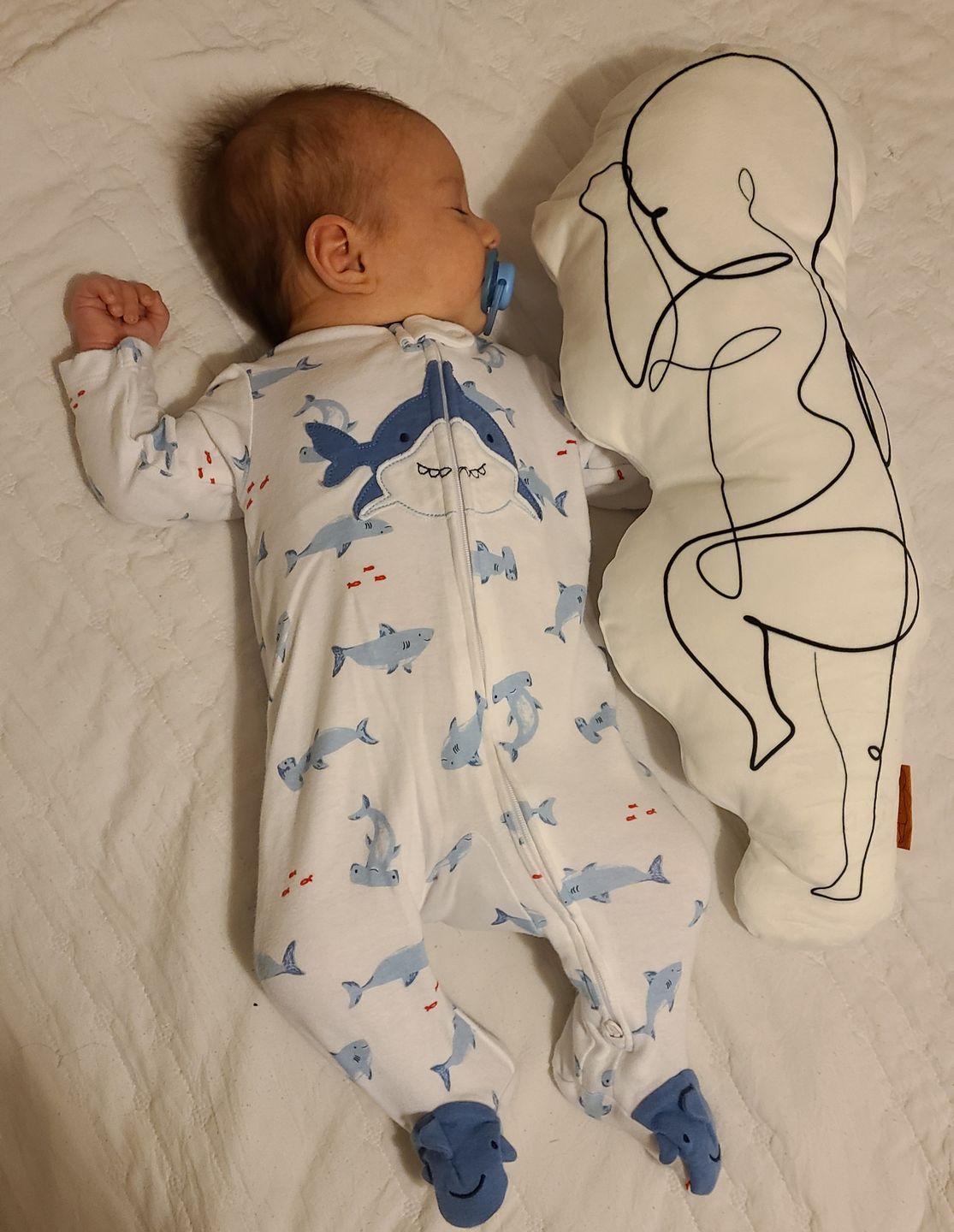 Customer photo review of Birth Pillow Line One