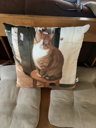 Customer photo review of Create A Custom Dog Pillow